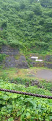 福井県立恐竜博物館に投稿された画像(2026/6/21)