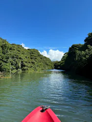 マーレ石垣島に投稿された画像(2026/6/21)