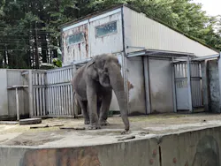 宇都宮動物園に投稿された画像(2026/6/21)