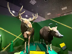 特別展「超危険生物展 科学で挑む生き物の本気」に投稿された画像(2026/6/21)