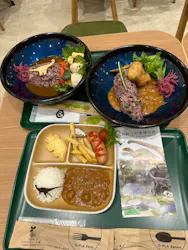 福井県立恐竜博物館に投稿された画像(2026/6/22)