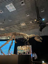 国立科学博物館に投稿された画像(2026/6/22)