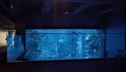 京都水族館に投稿された画像(2026/6/22)