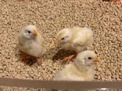 Moff animal cafe イオンモール幕張新都心店に投稿された画像(2026/6/22)
