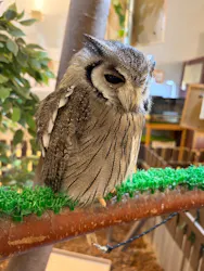 Moff animal cafe イオンモール幕張新都心店に投稿された画像(2026/6/22)
