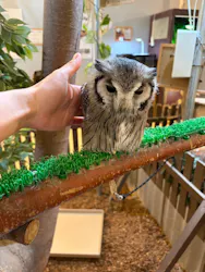 Moff animal cafe イオンモール幕張新都心店に投稿された画像(2026/6/22)