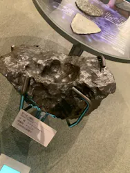 福井県立恐竜博物館に投稿された画像(2026/6/22)