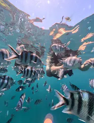 DIVING-SHOP SUNSに投稿された画像(2026/6/23)
