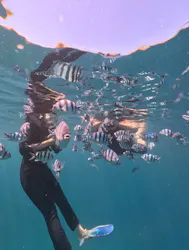 DIVING-SHOP SUNSに投稿された画像(2026/6/23)