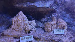 飛騨大鍾乳洞&大橋コレクション館に投稿された画像(2026/6/24)
