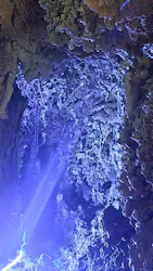 飛騨大鍾乳洞&大橋コレクション館に投稿された画像(2026/6/24)