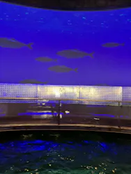城崎マリンワールドに投稿された画像(2026/6/24)