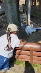 秋田市大森山動物園に投稿された画像(2026/6/25)