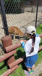 秋田市大森山動物園に投稿された画像(2026/6/25)