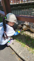 秋田市大森山動物園に投稿された画像(2026/6/25)