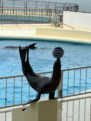 マリンワールド海の中道に投稿された画像(2026/6/27)
