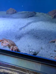 仙台うみの杜水族館に投稿された画像(2026/6/28)