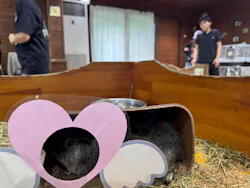 マザー牧場に投稿された画像(2026/6/28)