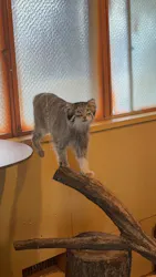 こども動物自然公園(埼玉県公園緑地協会)に投稿された画像(2026/6/30)