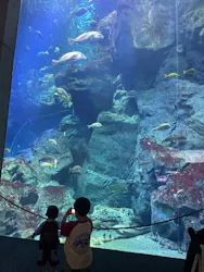 大分マリーンパレス水族館 「うみたまご」に投稿された画像(2026/7/1)