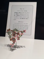 ミキモト真珠島に投稿された画像(2026/7/1)