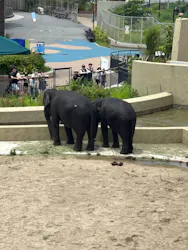 天王寺動物園に投稿された画像(2026/7/2)