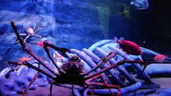 竹島水族館に投稿された画像(2026/7/2)