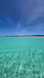 tome cruiseに投稿された画像(2026/7/3)
