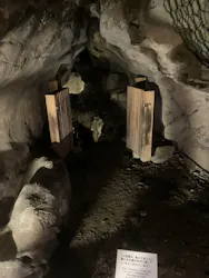 江の島1dayに投稿された画像(2026/7/4)