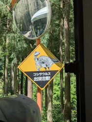 福井県立恐竜博物館に投稿された画像(2026/7/4)