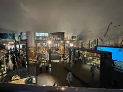 福井県立恐竜博物館に投稿された画像(2026/7/4)