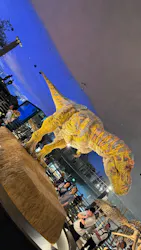 福井県立恐竜博物館に投稿された画像(2026/7/4)