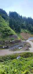 福井県立恐竜博物館に投稿された画像(2026/7/4)