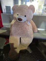 のぼりべつクマ牧場に投稿された画像(2026/7/5)