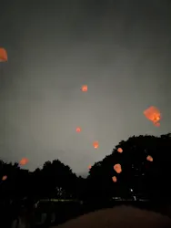 大泉緑地サンクスランタンに投稿された画像(2026/7/5)