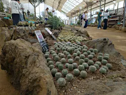 伊豆シャボテン動物公園に投稿された画像(2026/7/5)