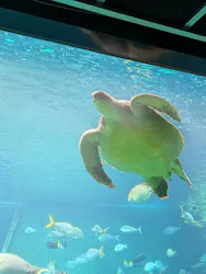 箱根園水族館に投稿された画像(2026/7/5)