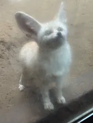 伊豆シャボテン動物公園に投稿された画像(2026/7/5)