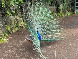 伊豆シャボテン動物公園に投稿された画像(2026/7/5)