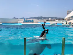鴨川シーワールドに投稿された画像(2026/7/5)
