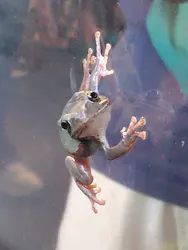 京都水族館に投稿された画像(2026/7/5)