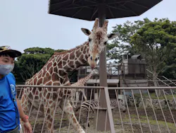 伊豆シャボテン動物公園に投稿された画像(2026/7/5)