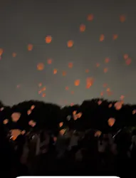 大泉緑地サンクスランタンに投稿された画像(2026/7/5)