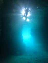 武藤潜水に投稿された画像(2026/7/8)