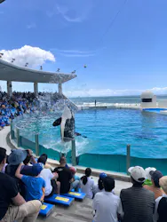 鴨川シーワールドに投稿された画像(2026/7/8)