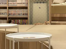猫カフェMOCHA イオンモール Nagoya Noritake Garden店に投稿された画像(2026/7/8)