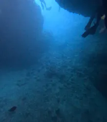 MalDive(モルダイブ)に投稿された画像(2026/7/9)