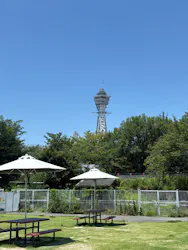 天王寺動物園に投稿された画像(2026/7/9)