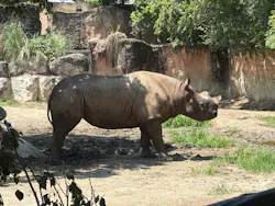 天王寺動物園に投稿された画像(2026/7/9)