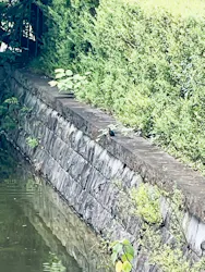 江戸東京たてもの園に投稿された画像(2026/7/9)